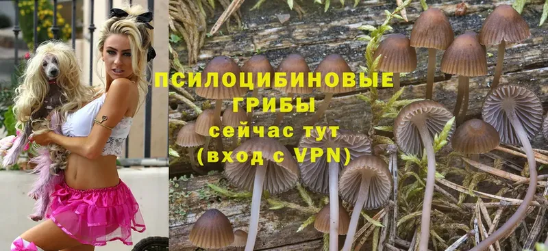 Галлюциногенные грибы Magic Shrooms Гагарин